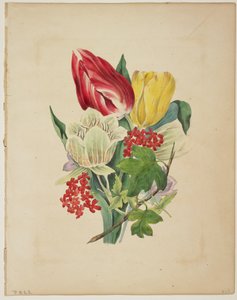 Ramo de tulipanes, de 