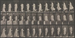 Locomoción animal. Una investigación electrofotográfica... de los movimientos animales. Comienza..., 1880s.