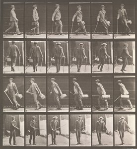 Locomoción animal. Una investigación electro-fotográfica de movimientos animales
