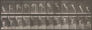 Locomoción Animal. Una Investigación Electro-Fotográfica de Fases Consecutivas de Animales..., 1880s de Eadweard Muybridge