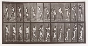 Locomoción animal. Una investigación electro-fotográfica de fases consecutivas de animales de Eadweard Muybridge
