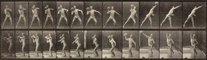 Locomoción animal, Placa 319, 1887 de Eadweard Muybridge