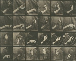 Locomoción animal, Placa 535 de Eadweard Muybridge