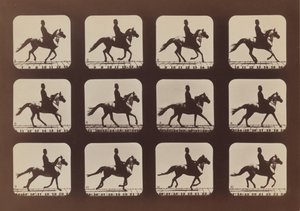 Actitudes de animales en movimiento, 1879, impreso en 1881