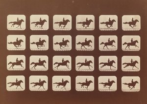 Caballos corriendo. Phyrne L. No. 40, 1879