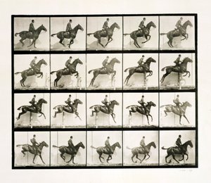 Hombre y caballo saltando una cerca, 1887 de Eadweard Muybridge