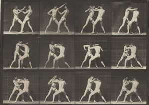 Número de placa 340. Boxeo, zapatos de mano abierta, 1887 de Eadweard Muybridge