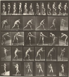 Número de placa 521. A: Caminando. B: Subiendo escalón. C. Lanzando disco. D: Usando pala..., 1887 de Eadweard Muybridge