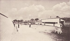 El caballo en movimiento mostrado por fotografía instantánea. Con un estudio sobre animales de Eadweard Muybridge