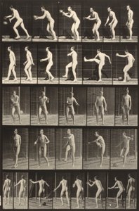Locomoción animal (lámina 300) (Hombre pateando una pelota) de Eadweard Muybridge