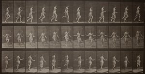 Locomoción animal, plancha 174 de Eadweard Muybridge