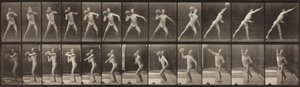 Locomoción Animal, Placa 319, 1887 de Eadweard Muybridge