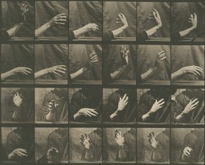 Locomoción animal, Placa 535 de Eadweard Muybridge