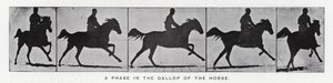 Eadweard Muybridge: Una fase en el galope del caballo