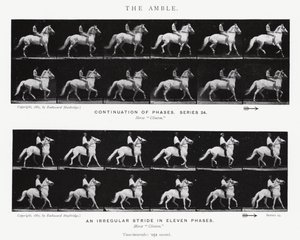 Eadweard Muybridge: El Andar de Eadweard Muybridge