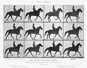 El Paso de Eadweard Muybridge
