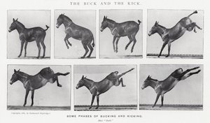 El Brinco y la Patada de Eadweard Muybridge