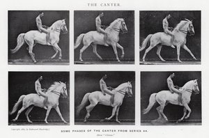 Eadweard Muybridge: El galope (foto en b/n)