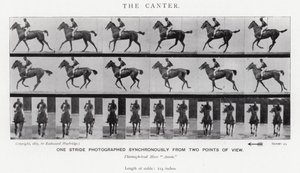 El Galope Corto de Eadweard Muybridge