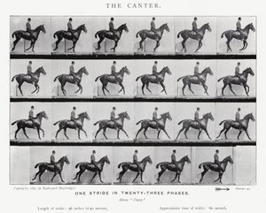El Galope Corto de Eadweard Muybridge
