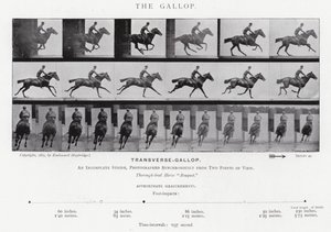 Eadweard Muybridge: El Galope de Eadweard Muybridge