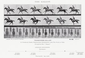 Eadweard Muybridge: El galope (foto en b/n) de Eadweard Muybridge