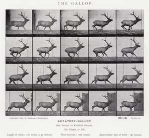 El Galope de Eadweard Muybridge
