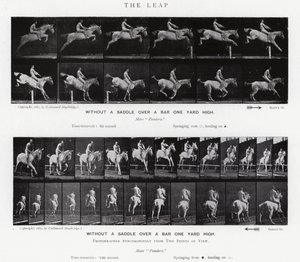 Eadweard Muybridge: El Salto de Eadweard Muybridge