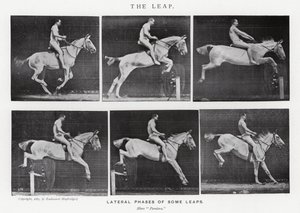 Eadweard Muybridge: El Salto de Eadweard Muybridge