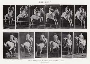 Eadweard Muybridge: El Salto de Eadweard Muybridge