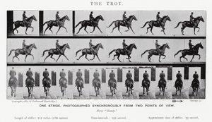 El Trote de Eadweard Muybridge