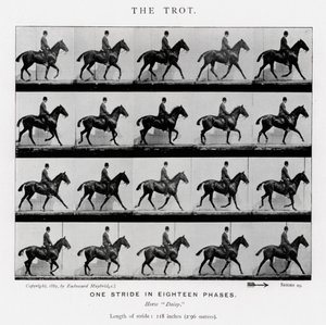 El Trote de Eadweard Muybridge