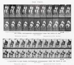 El Trote de Eadweard Muybridge