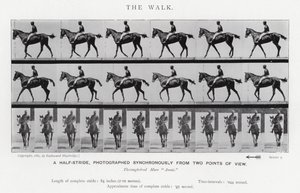 Eadweard Muybridge: El Paseo de Eadweard Muybridge