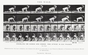 Eadweard Muybridge: El Paseo de Eadweard Muybridge
