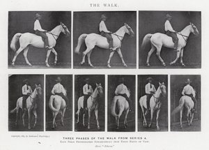 Eadweard Muybridge: La Caminata