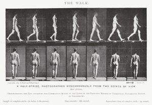 Eadweard Muybridge: La Caminata de Eadweard Muybridge
