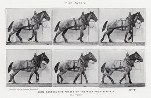 El Paseo de Eadweard Muybridge