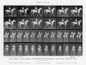 El Paseo de Eadweard Muybridge