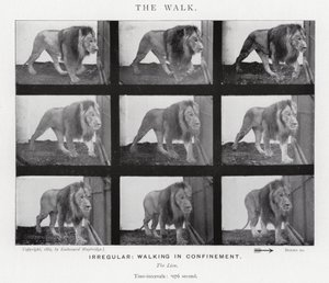 El Paseo de Eadweard Muybridge