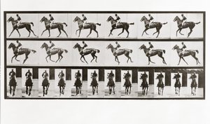 Caballo y jinete, Placa 621 de Animal Locomotion de Eadweard Muybridge
