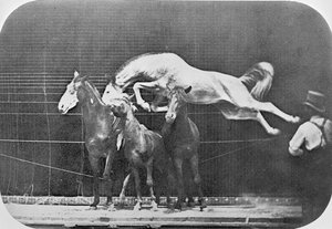 Saltando sobre tres caballos... caballo castaño Hornet, de 