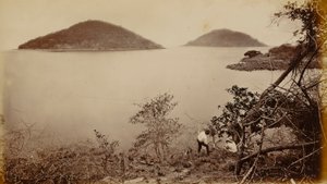 Perico y Flamenco - desde Isla de Naos, Panamá de Eadweard Muybridge