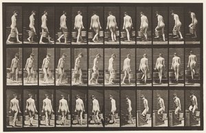 Placa 104. Girando y subiendo escaleras, cubo de agua en cada mano de Eadweard Muybridge