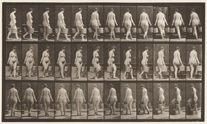 Placa 106. Girando para subir escaleras, cubo de agua en cada mano de Eadweard Muybridge
