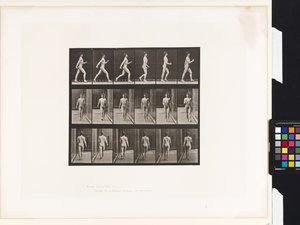 Placa 10. Caminando de Eadweard Muybridge
