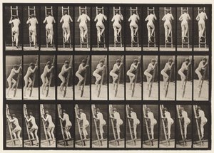 Placa 112. Subiendo una Escalera de Eadweard Muybridge