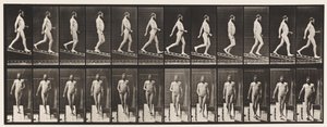 Placa 113. Bajando una pendiente, 1 en 4 de Eadweard Muybridge