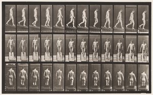 Placa 114. Descendiendo inclinación, ángulo 1 en 4, 1872-1885 de Eadweard Muybridge