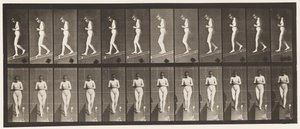 Placa 115. Descendiendo Inclinación con Manos Cruzadas al Frente de Eadweard Muybridge